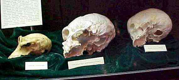 3skulls2.jpg (16118 bytes)